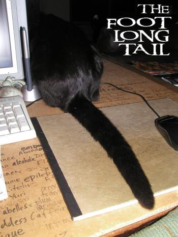<img350*0:stuff/6%20the%20foot%20long%20tail.jpg>