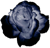 <img:stuff/7RoseBullet.png>