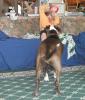 <img0*100:stuff/8%20tuggy%20wars%20.jpg>