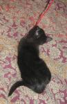 <img0*150:stuff/8a.jpg>