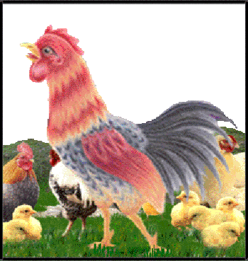 <img:stuff/96%20At%20the%20farm%20!.gif>