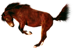 <img:stuff/AGoodBuck-Bay150_rev_test.png>