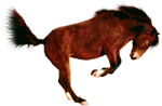 <img:stuff/AGoodBuck-Bay150_test.png>