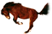 <img:stuff/AGoodBuck-Bay75_rev_test.png>
