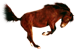<img:stuff/AGoodBuck-Bay75_test.png>
