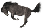 <img:stuff/AGoodBuck-Gray150_rev_test.png>