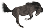 <img:stuff/AGoodBuck-Gray150_test.png>