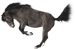 <img:stuff/AGoodBuck-Gray75_rev_test.png>