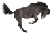 <img:stuff/AGoodBuck-Gray75_test.png>