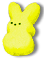 <img:stuff/APeepBunnyYel.png>