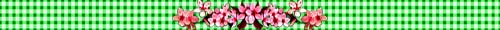 <img:stuff/ATruePlaid-flowersAllGrn.jpg>