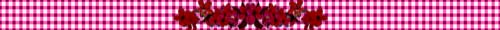 <img:stuff/ATruePlaid-flowersAllPink.jpg>