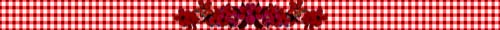 <img:stuff/ATruePlaid-flowersAllRed.jpg>