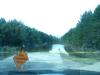 A_bit_of_road_swimmin'