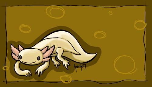 <img500*289:stuff/A_is_for_Axolotl.jpg>