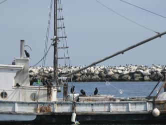 <img0*250:stuff/Abandoned_Boat1.jpg>