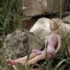 Abandoned_Doll