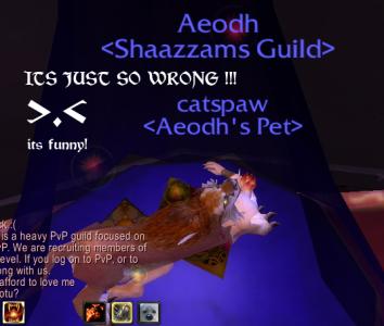 <img0*300:stuff/Aeodh%20L16%20NO%20KITTY!%202.jpg>