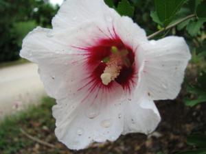<img300*0:stuff/After_Shower.jpg>