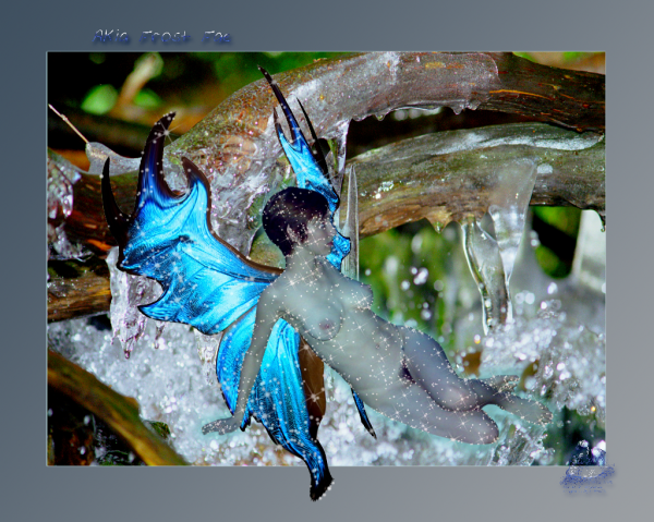 <img600*0:stuff/Akia-Frost-Fae.png>