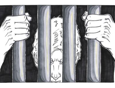 <img400*0:stuff/Alea%20Iacta%20est%20colored.jpg>