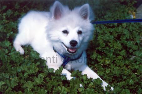 <img0*300:stuff/Alen.jpg>