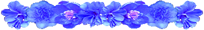 <img:stuff/AllBlueFlowerDivLg.gif>