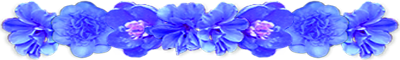 <img:stuff/AllBlueFlowerDivLg.png>