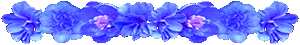<img:stuff/AllBlueFlowerDivSM.gif>