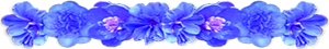 <img:stuff/AllBlueFlowerDivSM.png>