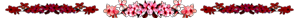 <img:stuff/AllFlowersFromPlaid300.png>