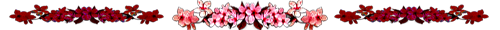 <img:stuff/AllFlowersFromPlaid500.png>