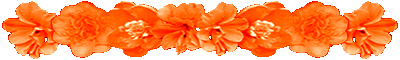 <img:stuff/AllOrgFlowerDivLg.gif>
