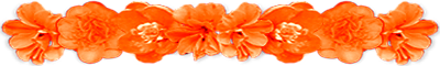 <img:stuff/AllOrgFlowerDivLg.png>