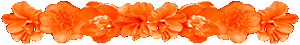 <img:stuff/AllOrgFlowerDivSM.gif>