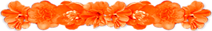 <img:stuff/AllOrgFlowerDivSM.png>