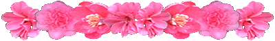<img:stuff/AllPinkFlowerDivLg.gif>