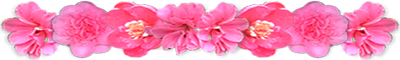 <img:stuff/AllPinkFlowerDivLg.png>
