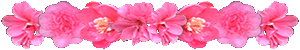 <img:stuff/AllPinkFlowerDivSM.gif>