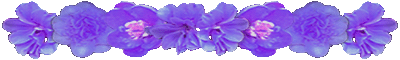 <img:stuff/AllPurpFlowerDivLg.gif>