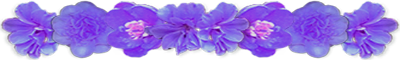 <img:stuff/AllPurpFlowerDivLg.png>