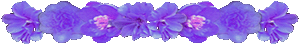 <img:stuff/AllPurpFlowerDivSM.gif>