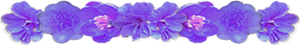 <img:stuff/AllPurpFlowerDivSM.png>