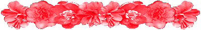 <img:stuff/AllRedFlowerDivLg.gif>