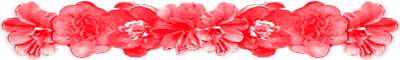 <img:stuff/AllRedFlowerDivLg.png>