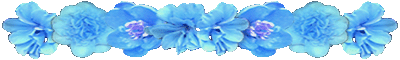 <img:stuff/AllTurqFlowerDivLg.gif>