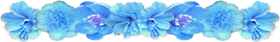 <img:stuff/AllTurqFlowerDivLg.png>