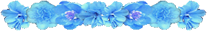 <img:stuff/AllTurqFlowerDivSM.gif>
