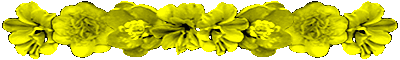 <img:stuff/AllYelFlowerDivLg.gif>