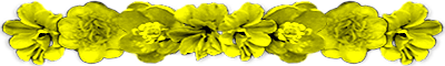 <img:stuff/AllYelFlowerDivLg.png>